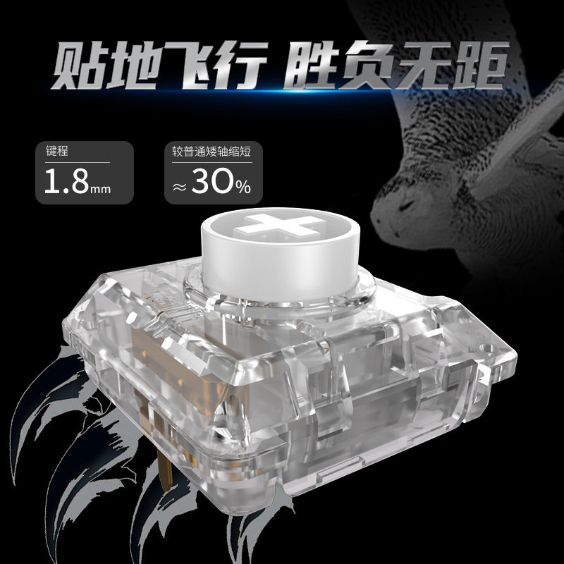 Kailh Choc White Owl Switch Mi - đánh giá và giá Gaming Keyboard Mini